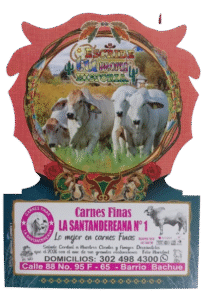 f182307f bcd3 46e7 9c5d b8204e215478 removebg preview